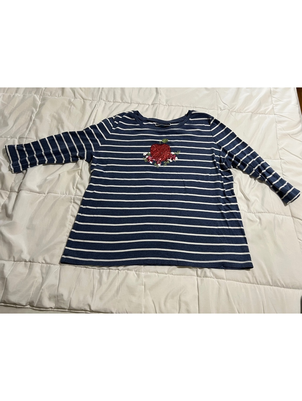 Karen Scott Blue and White Striped 3/4 Shirt Red Apple Embellishments Woman 2X